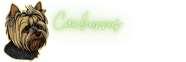 Cachorros Yorkshire Chile Logo